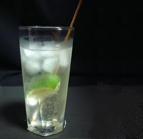 Gin Rickey