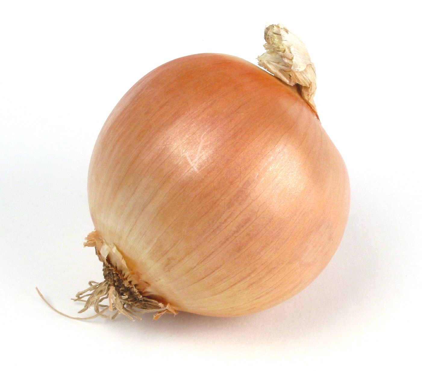 Onion Boott